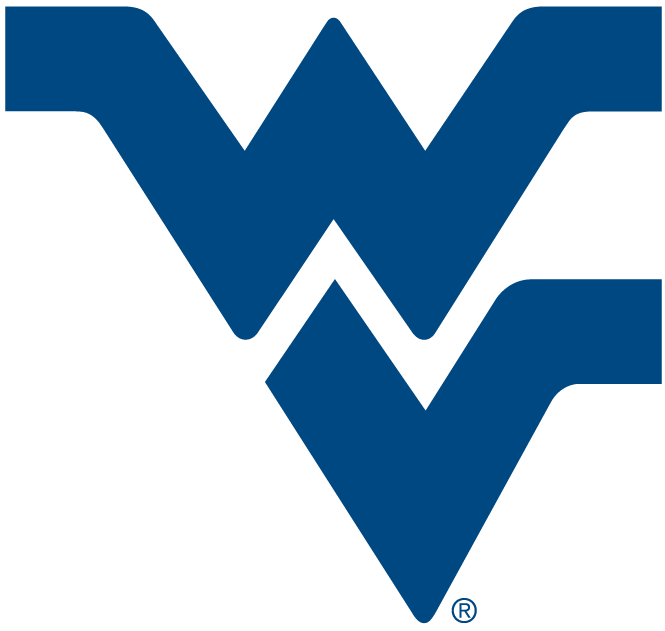 West Virginia Mountaineers 1980-Pres Alternate Logo v5 diy fabric transfer